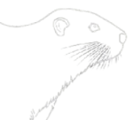 Beaver Bot Logo